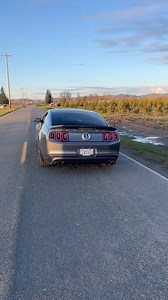 Shelby Burnout! 😍🔥 #Ford #Mustang #Shelby #GT500 via: 2011.svt | MustangMagazine