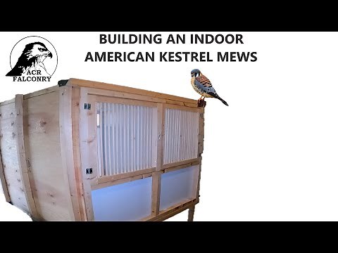 How to build an indoor American Kestrel mews - ACR FALCONRY