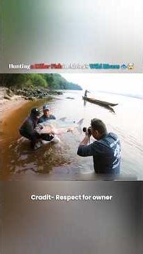 Hunting a Killer Fish in Africa’s Wild Rivers 🐟🔥 #fishing