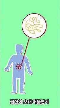 지사제 효과 시간 착각하면 상태 더 악화된다