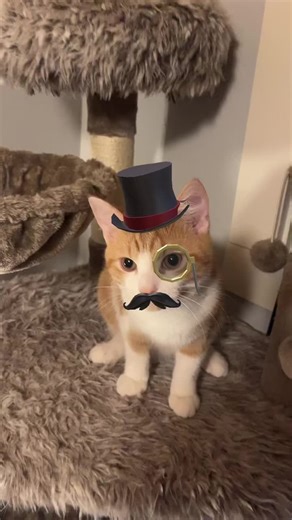 William Garvey (@williamgarvey0)’s videos with original sound - 𖹭☥𝕶𝖗𝖎𝖒☥𖹭