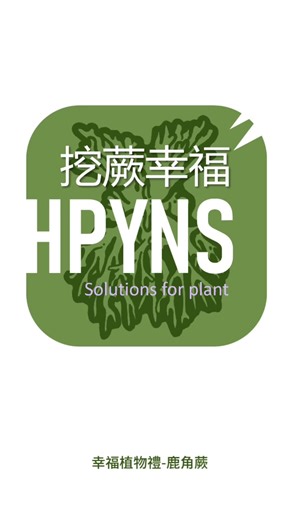 Exploring Platycerium: The Unique Ferns of Java