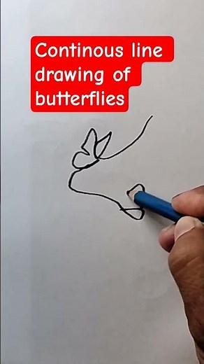continous line drawing of butterflies #drawing