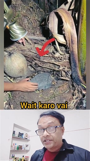 farming systems #edit #tweening