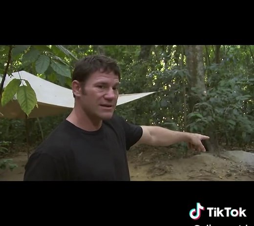 Amazing Facts About Monitor Lizards: Nature's Smart Reptiles