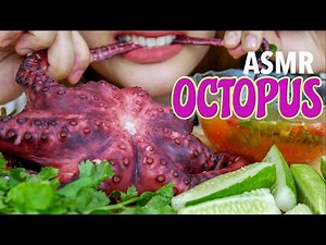 #13 Request ASMR Giant Octopus | ASMR Indonesia