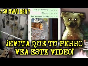 ¡EVITA QUE TU PERRO VEA ESTE VIDEO! - RELATOS DE PERROS ACTUANDO COMO HUMANOS (SKINWALKERS)