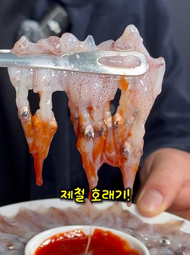 겨울 제철 호래기, 바로 지금 드세요!