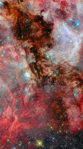 This is what “a baby star” looks like-for real. #astronomy #stars #protostar