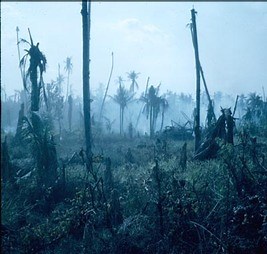 Environmental Impact