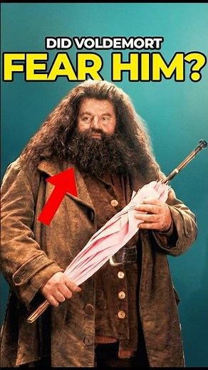 Harry Potter Fan Theories That Might Actually Be True
