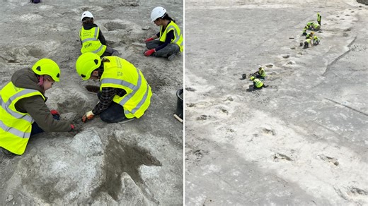 UK's biggest dinosaur footprint site uncovered with hundreds of massive tracks