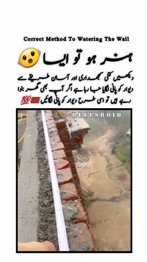 Correct Method To Watering Wall || Best Quotes || Life Hacks || Good Idia || Motivational #shorts