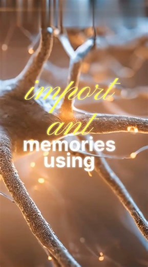 Your Brain Rewrites Itself Every Night 😱