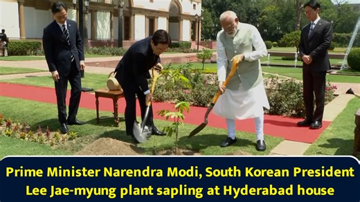 Prime Minister Narendra Modi, South Korean President Lee Jae-myung plant a sapling at Hyderabad House