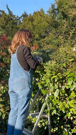 Our Cottage Life Begins | The Reality of Week One, Garden Days & A Trip to Cambridge
