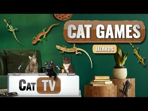 Cat TV Lizards 🦎: All Your Favorites, all DAY | Larry the Lizard & Friends | 8 Hours 🐱