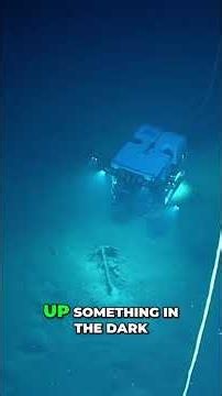 This Creature Shouldn't Exist Down There 🤯 #deepsea #ocean #science