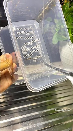 Ingenious Handmade Tool for your Kitchen - DIY Life-Hack!