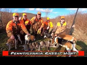 Pennsylvania Rabbit Hunt Yields Huge Deer Shed