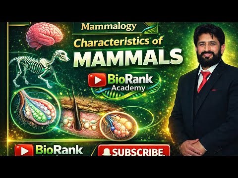Characteristics of Mammals | Mammalogy Lecture | MDCAT / FSc Biology #biorankacademy #Mammalogy