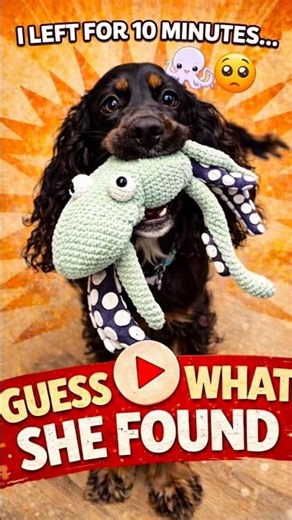 My Cocker Spaniel Brought Me an Octopus After 10 Minutes #dogshorts