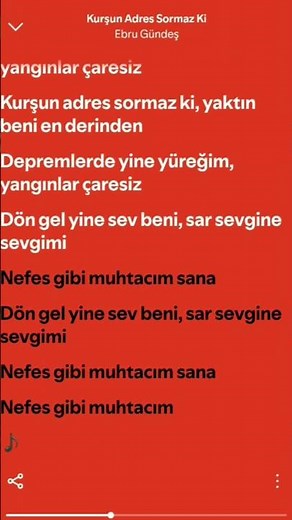 Ebru Gündeş - Kurşun Adres Sormaz Ki Şarkı Sözleri / Lyrics #lyrics #şarkısözleri #shorts