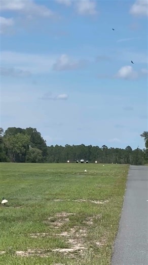 Beechcraft Baron landing on grass #aviation #beechcraft