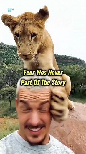 A Man Who Became Family to Lions! Dean Schneider Story