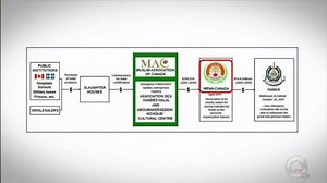 11K views · 66 reactions | Understanding Halal Certification Schemes...