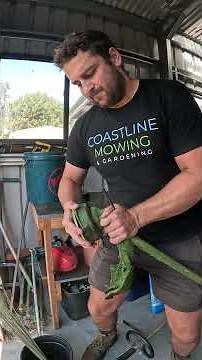Whip snipper head replacement that actually works #lawncare #diy #howto