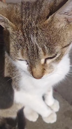 B-Boy Tim на TikTok