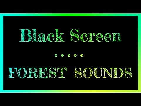 Forest Sounds Black Screen | Nature sounds | Dark Screen Forest Sounds | Zen Garden