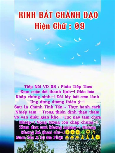 Eightfold Path Sutra Displaying Text VD 09