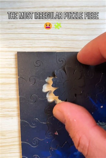 Solving The Most Irregular Puzzle Piece Challenge