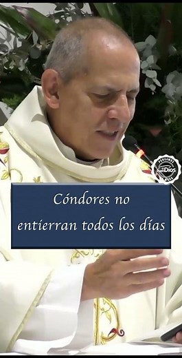 Poem "Condors don't bury every day" - The Good God #Poem #ShortPoems #Poetry #poets