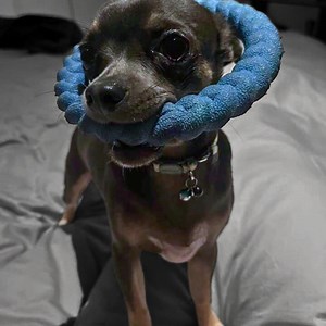 Maximus-Jedi | Guitar Box Studio | Facebook