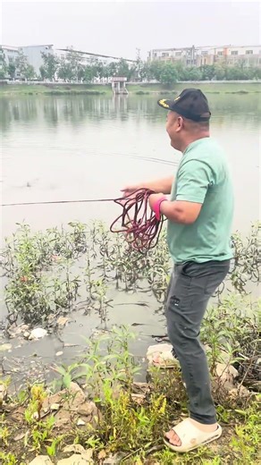 Fishing Master The Right Way Cast A Net #NetFishing #FlyingDiscNet