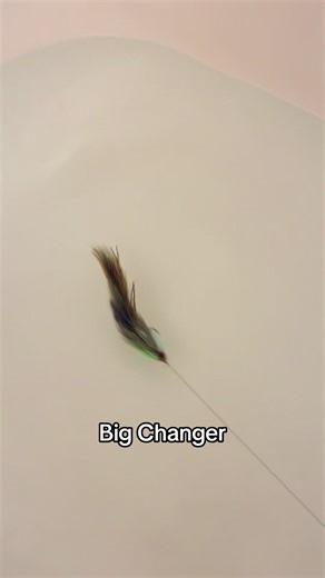 Spring Pike Fishing Tips for Fly Anglers