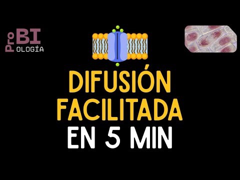 Facilitated Diffusion in 5 Minutes | Facilitated Diffusion in 5 Minutes
