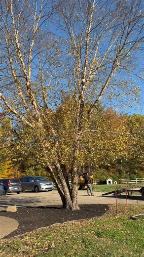 Travis Hack on Reels