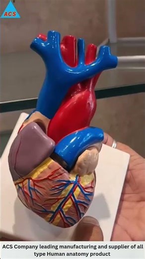 intelligent gravity cupping machine#vaccumcupping#ACSproduct #ACShealthcare#acupressure #acupuncture