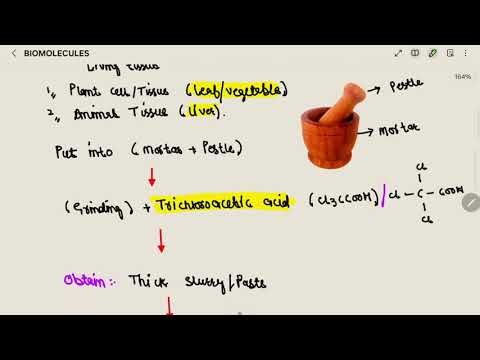 Biomolecules Explained | How to Analyse Chemical Composition | Easy Biology for NEET