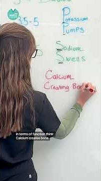 Electrolyte Basics 🫀🧠🦴