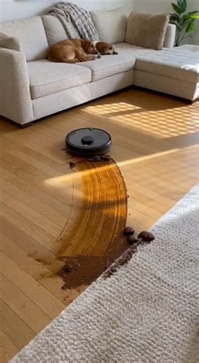 robot vacuum review: five stars for poop spreading, but never use it #techreview #robotvacuumfail #fivestarsneveruse #poopfunction #wasteofmoney