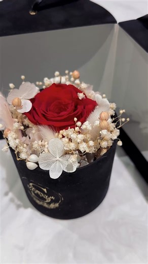 15K views · 449 reactions |  ✨ GIVEAWAY TIME ✨  We’re celebrating...