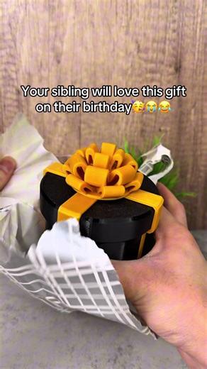 Perfect way to waste your siblings time🤣 | gift
