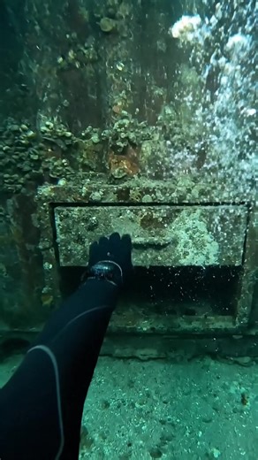 Discovering New Undersea Wonders by Divers