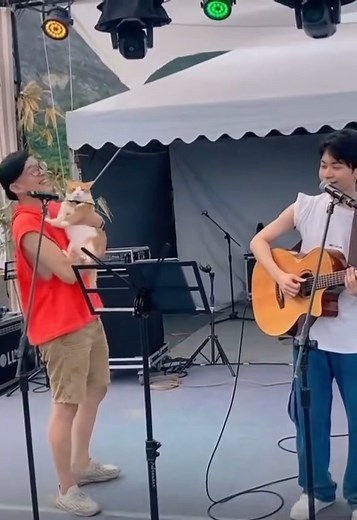 5.2K views · 126 reactions | Let’s learn how to meow together#cat #catstarman #catsoftiktok #music #cute #cat #animals #pet #lovecat #lovepet #petcare | Animal Rescue | Facebook