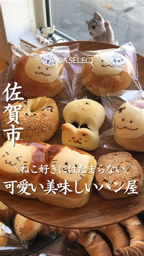 👇詳細はこちらを👇 行きたいと思ったら「🍞」とコメントしてね！ 【Bakery Aqua】 #Bakery Aqua ねこ好きにはたまらないパン屋さん❤︎ ねこちゃんのパンや美味しそうなパンがたくさんあってテンションが上がりました😆 かわいいだけではなくちゃんと美味しいパン 種類も豊富でどれにするか迷ってしまいます😍 キャットフレンズ 200円 (いちごとりんごのジャム) スコーン(紅茶とホワイトチョコ) 180円 ごまにゃん 100円 他 行ってみたい！と思ったら保存してね ……∴……∴……∴……∴……∴……∴ …… 店名：Bakery Aqua(ベーカリーアクア) 住所：佐賀市大和町大字尼寺972 営業時間：8:00 ～ 17:30 電話番号：0952-60-1155 定休日：火曜日 駐車場：あり ……∴……∴……∴……∴……∴……∴…… この投稿を作成したのは 佐賀アンバサダーのayakoです \\\\とにかく食べることが大好き// 長崎と佐賀を中心にランチ&カフェ&夜ご飯を投稿 B級グルメから贅沢ご飯まで ……∴……∴……∴……∴……∴……∴……∴ #佐賀グルメ #佐